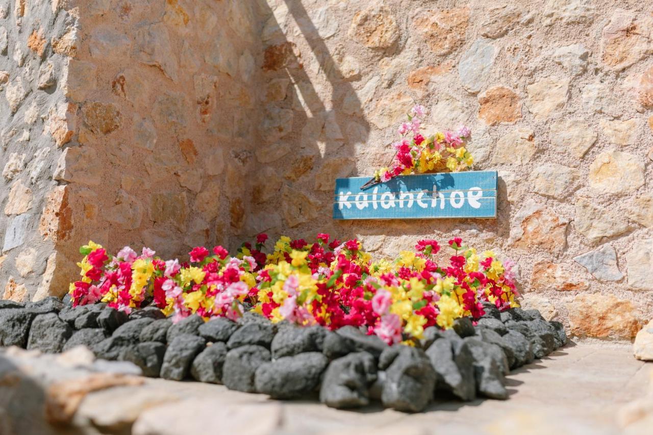 Villa Antheia Karterádosz Kültér fotó